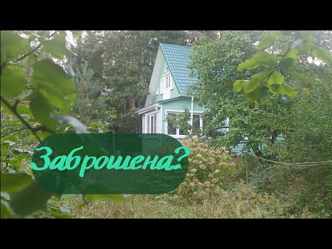 Видео: Купила заброшенную дачу? Нет. Просто продолжаю историю семьи