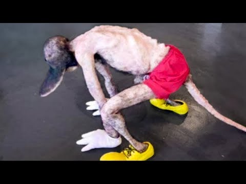Видео: Секреты, Которые Скрывает Диснейленд