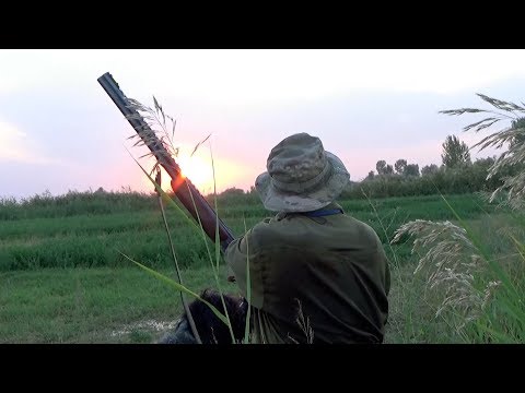 Видео: Охотничьи приключения - 4 (Охота на уток) / Vorsordakan Arkacner - 4 (Badi vors)