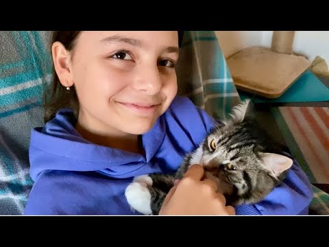 Видео: Анечка вернулась после разлуки. Наши котики в восторге 😻😻😻