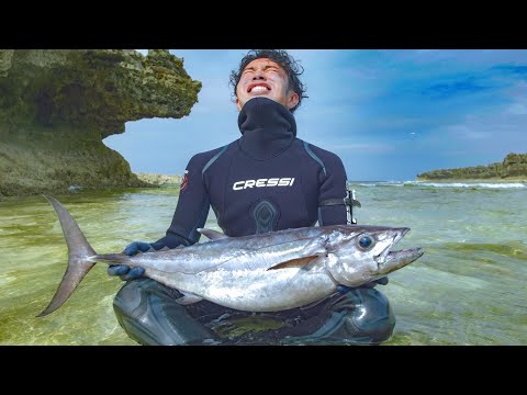 Видео: Наконец-то нырянием я получил Dogtooth tuna!