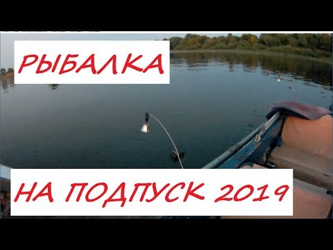 Видео: Рыбалка на подпуск в июне 2019г. Ловля леща на р.Волга.