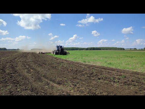 Видео: Обрабатываем пары т150к+лдг10.подгоревшая пшеница