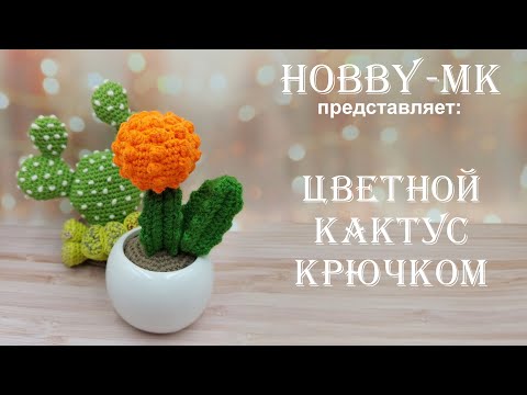 Видео: Цветной кактус крючком (авторский МК Светланы Кононенко)