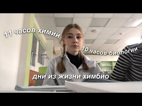 Видео: несколько дней из жизни ХИМБИО