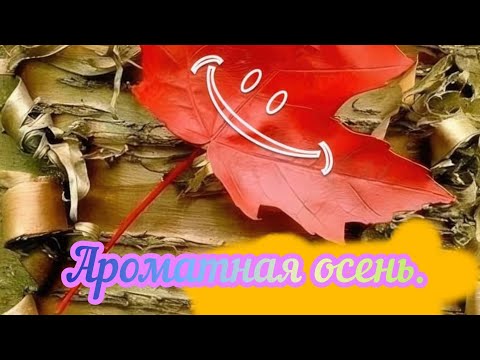 Видео: Ароматы с эффектом ВАУ.#парфюмерия #elenasydney#духи 