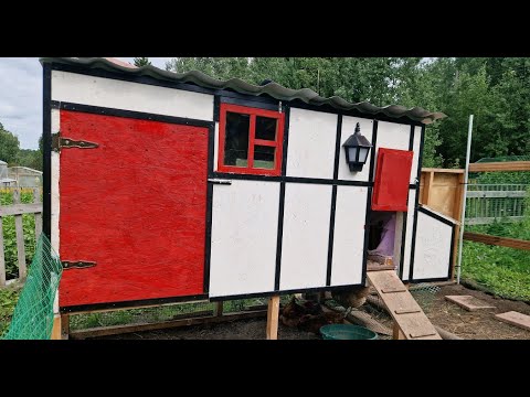 Видео: Курятник.ОТиДО.