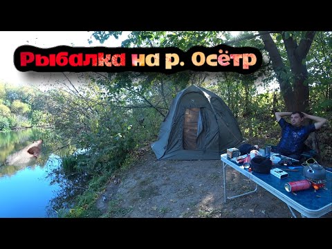 Видео: Рыбалка на реке Осётр. Отдых с палатками