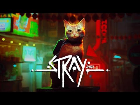 Видео: Прохождение Stray #1