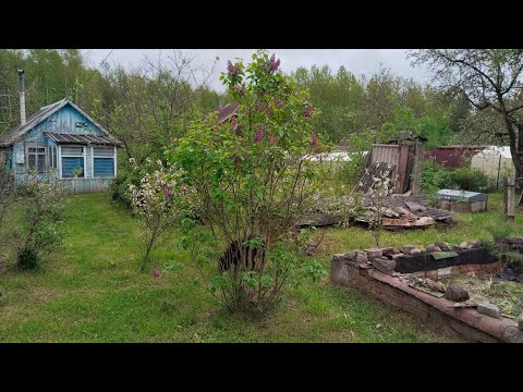 Видео: Обзор нового дачного участка(я лоханулась?)