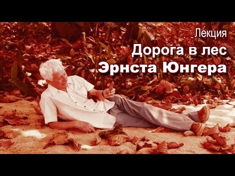 Видео: Лекция «Дорога в лес Эрнста Юнгера»