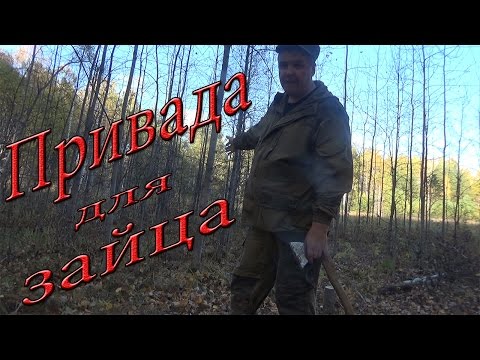 Видео: Привада для зайца