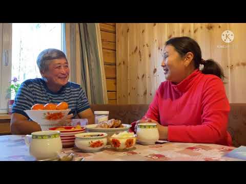 Видео: Вячеслав Хон олоххо сирдиир санаалара, кэрэ кэпсээнэ