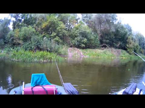 Видео: Сплав по р.Псел 4-ый день...bogomaz05