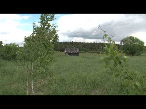 Видео: Событие на дальнем плане