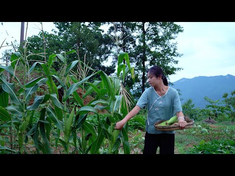 Видео: ЛУЧШИЙ способ приготовить нежную кукурузу