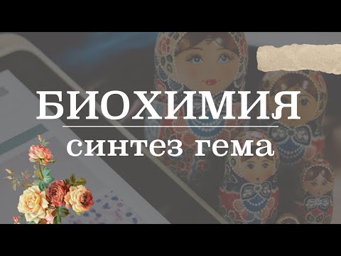 Видео: Синтез гема (этапы, регуляция) | Биохимия