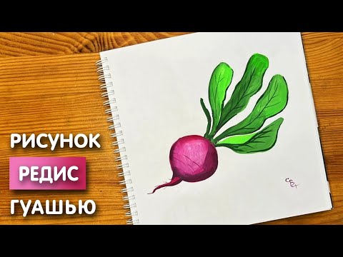 Видео: Как нарисовать редиску карандашом и гуашью для детей | Рисунок поэтапно для срисовки