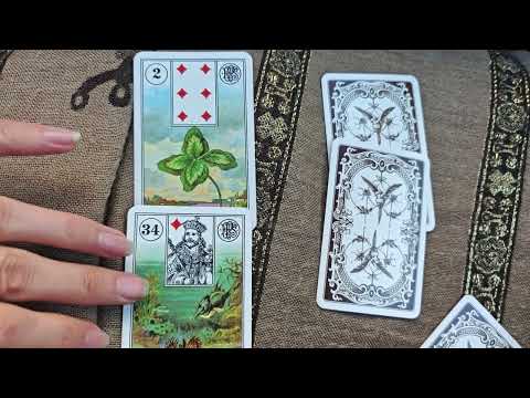 Видео: СОБЕСЕДОВАНИЕ #таро КАК ПРОЙДЕТ❓ ВОЗЬМУТ ЛИ НА РАБОТУ❓💼