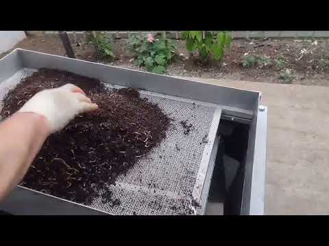 Видео: Вибросито ВС-8-р  для просеивания червя  8.2024    г. Волгоград