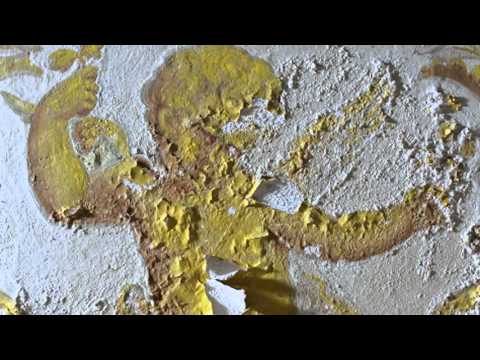 Видео: Реставрация Каменноостровского дворца