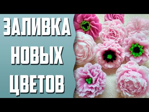 Видео: Заливка новых цветов с сайта Мыльная вечеринка