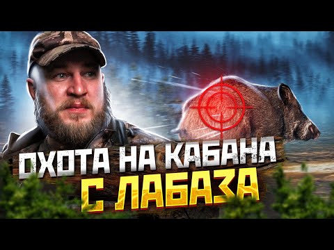 Видео: Охота с лабаза на кабана. Советы и нюансы по охоте с лабаза.