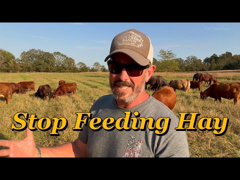 Видео: На вашей ферме мало травы! Вот почему и как это исправить!