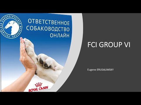 Видео: Особенности судейства десяти групп пород FCI Группа VI | «Ответственное собаководство онлайн»