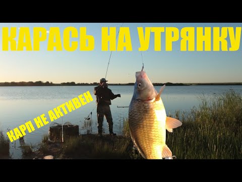 Видео: Рыбалка в Акмолинской области-Карп не активен, карась прет на донку