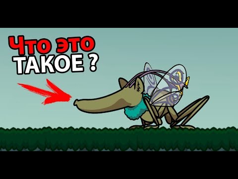 Видео: Эволюция ! Ахахах что ты делаешь ?