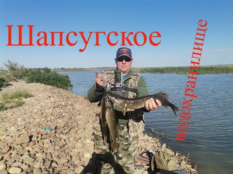 Видео: Рыбалка на Шапсугском водохранилище ловля щуки.8.09.21г