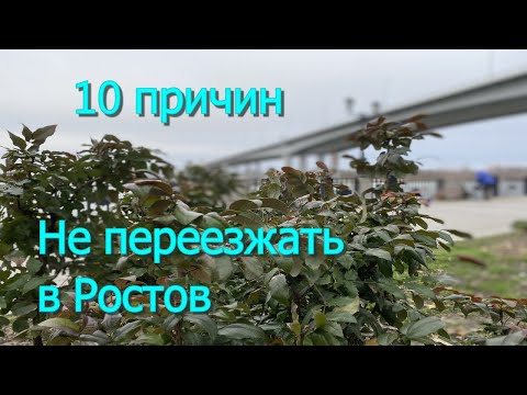 Видео: 10 причин не переезжать в Ростов -на-Дону/Субъективный взгляд
