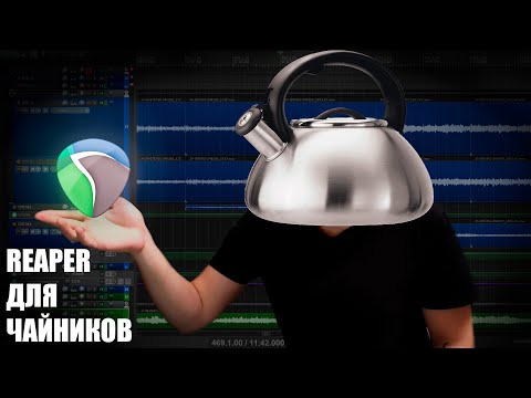 Видео: Быстрый старт в REAPER (для чайников)