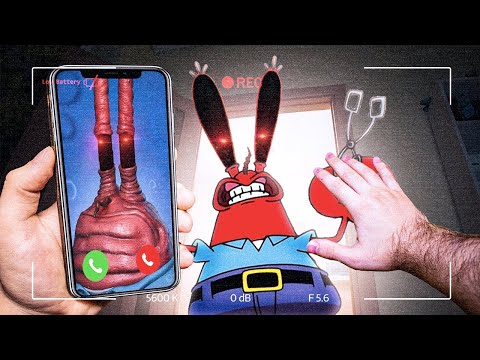 Видео: РЕАЛЬНЫЙ МИСТЕР КРАБС из мультика ГУБКА БОБ НАПАЛ НА МЕНЯ ЧЕЛЛЕНДЖ 3 ЧАСА НОЧИ! (СТРАШНО!)