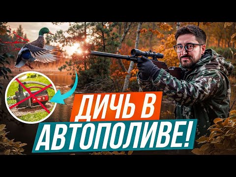 Видео: Больше не мог молчать об этом! Компромитирующий взгляд на качество автополива