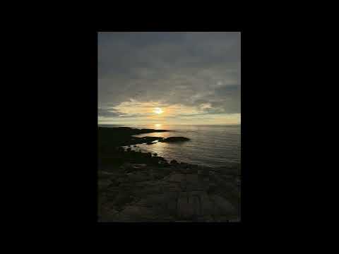 Видео: Фокс. Юрий Забутов (Foks. Yuri Zabutov)