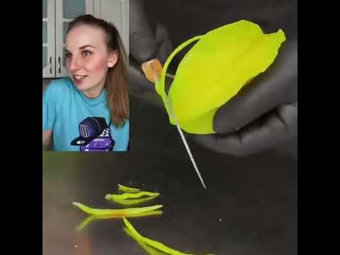 Видео: Истории  Автора: Тани Ясты