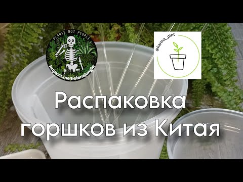 Видео: Распаковка горшков и прочих цветочных приятностей из Китая