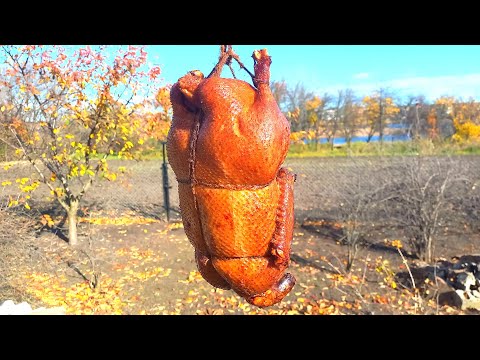 Видео: Качка ГАРЯЧОГО КОПЧЕННЯ в коптильні Древос