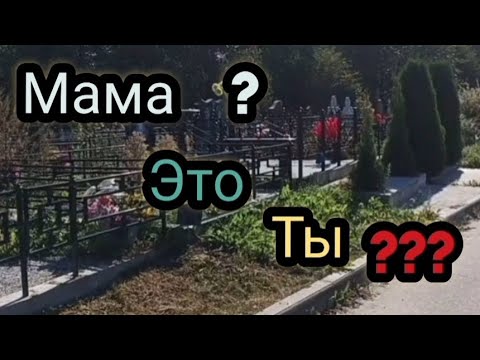 Видео: Бонусное видео. Вологдское кладбище.