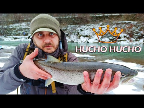 Видео: ТРОФЕЙ / ДУНАЙСЬКИЙ ЛОСОСЬ / HUCHO HUCHO / JERRY SQUID