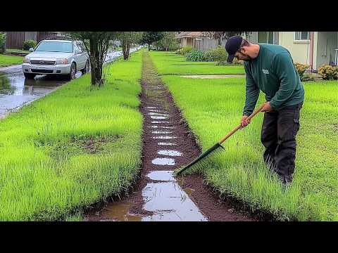 Видео: Мужчина Косит Всю Заросшую Округу Бесплатно | Полная Трансформация от @bryanbiglin4795