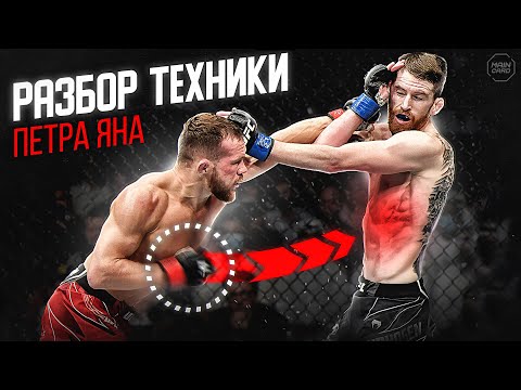 Видео: Лучший Боксер UFC! Петр Ян Разбор Техники Чемпиона! @Main_Card