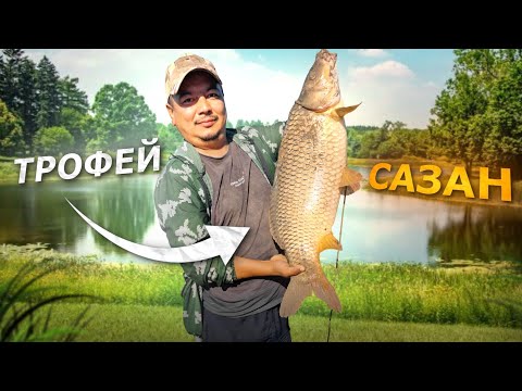 Видео: ҮЛКЕЕЕЕН САЗАН түсті! Сазан аулау тәсілдер (2ші бөлім) ҚУЫРЫЛҒАН Көксерке және Лақа