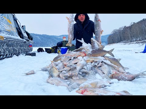 Видео: ЭМОЦИИ ЗАШКАЛИВАЮТ ОТ ТАКОЙ РЫБАЛКИ! Рыбалка с ночевкой в тайге