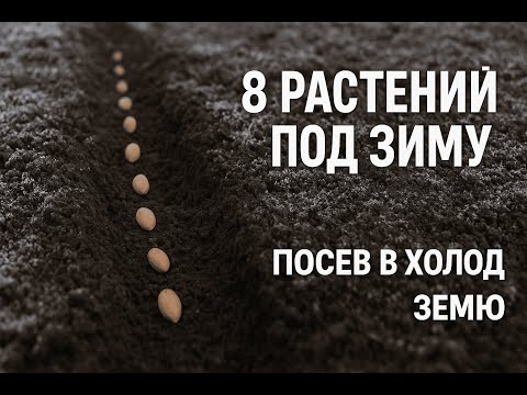 Видео: 99% ДАЧНИКОВ ДЕЛАЮТ ЭТО НЕПРАВИЛЬНО! 8 растений, которые сажают ТОЛЬКО под зиму