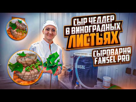Видео: Мастер класс по сыроделию / Сыр Чеддер в листьях винограда / Домашняя Сыроварня FANSEL PRO