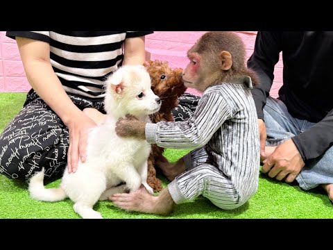 Видео: Макс и весёлое путешествие | Встречайте новых друзей 🏙️