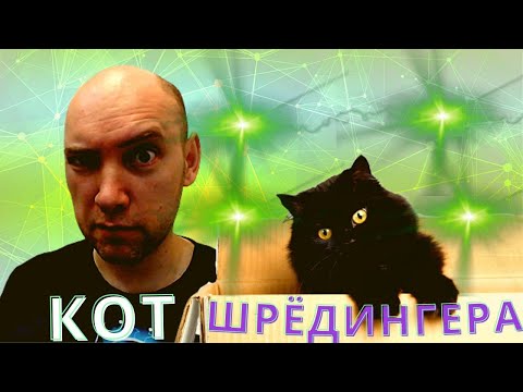 Видео: Кто такая кошка Шрёдингера? Душкин объяснит